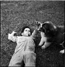 A Dog's Life in the Big City [Boy with puppy.]