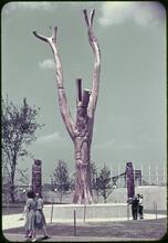 [Unidentified statues.]