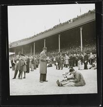 Aqueduct Race Track [Grandstands at a racetrack.]
