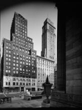 [Looking across Fifth Avenue from the steps of New York Public Library's main branch.]