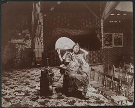 Coney Island, General Views, Streets of Cairo, Turkish Harem, and Etc.