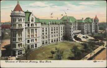 Museum of Natural History, New York.
