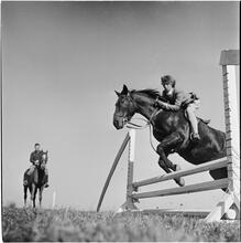 Arthur Godfrey [Horse show jumping.]