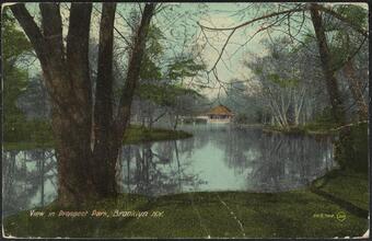 View in Prospect Park, Brooklyn N. Y.