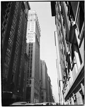 Canyon: 46th Street and Lexington Avenue
