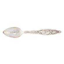 Souvenir Spoon