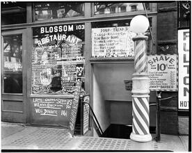 Blossom Restaurant [Variant]