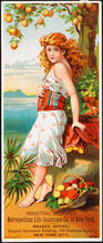 Industrial Insurance. Metropolitan Life Insurance Co. of New York