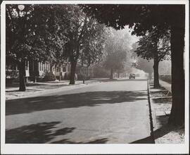 Winthrop St., Brooklyn
