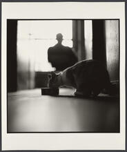 Sunshine Hotel Cat, Bowery, NYC