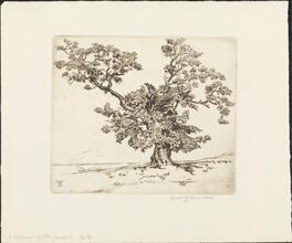 A Veteran of the Jumel
