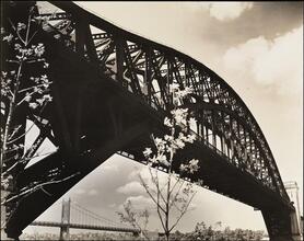 Hell Gate Bridge I
