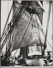 [Ship's mast.]