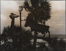 Casa Genotta, the weather vane.