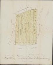 [Lots of land belonging to the Brevoort family, from Broadway to 5th Avenue between 9th Street and 14th Street]