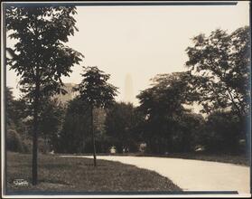 View of Ritz Tower from Central Park