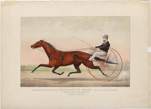 Celebrated Trotting Mare Goldsmith Maid, Driven By Budd Doble.