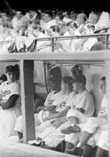 Jackie Robinson, Brooklyn Dodgers