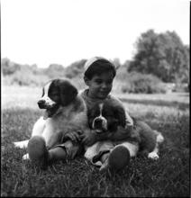 A Dog's Life in the Big City [Boys wih two puppies.]