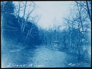 [Bronx River.]