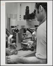 A bullet expert in the police forensic sector studies the marking on a spent bullet.; Police Work