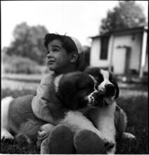 A Dog's Life in the Big City [Boy hugging two puppies.]