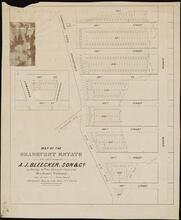 Map of the Bradhurst Estate, to be Sold at Auction by A.J. Bleecker, Son & Co.