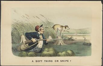 A Soft Thing On Snipe !