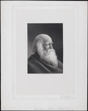 [William Cullen Bryant.]