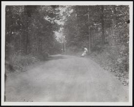 [Bronx Park.]