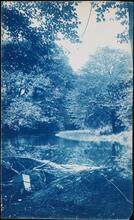 [Bronx River.]
