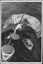 [Crew member working on the ferry.]