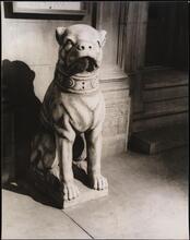 Italian stone dog in front of Olivotti's, Madison Ave.