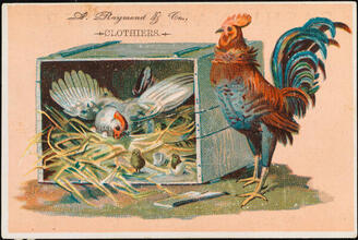 A. Raymond & Co., Clothiers