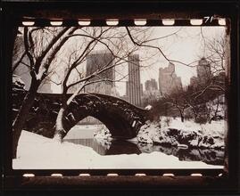 [Bridge in Central Park.]