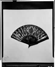 Fans