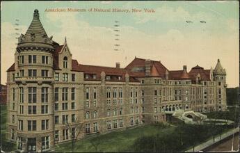 American Museum of Natural History, New York.