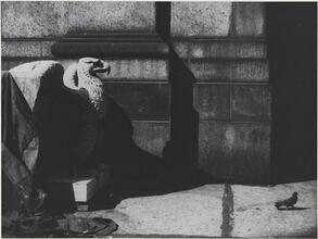 Untitled [The demolition of Pennsylvania Station, 1964-1965.]