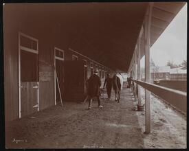 Race Tracks, Belmont Park.