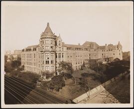 Museum of Natural History, N.Y.