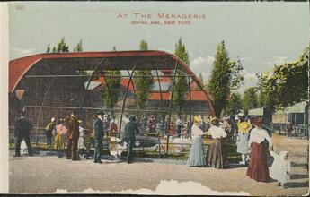 At the Menagerie, Central Park, New York.