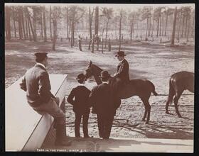 Park in the Pines, Aiken S.C.