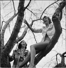 Betsy Von Furstenberg [Climbing a tree.]