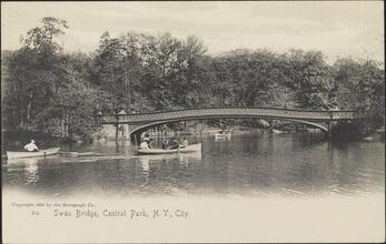 Swan Bridge, Central Park, N. Y. City.