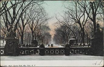 "Mall" Central Park, New York, N. Y.