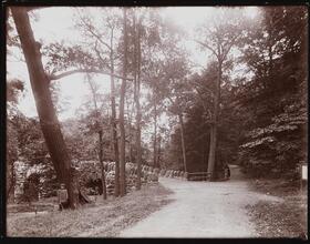 [Bronx Park.]