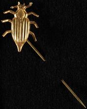 [Gold bug pin.]