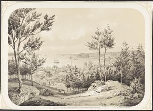 View of the Narrows from Staten Island