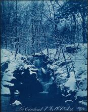 [In Central Park.]