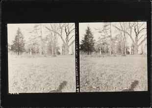 [Fort Washington Avenue.]